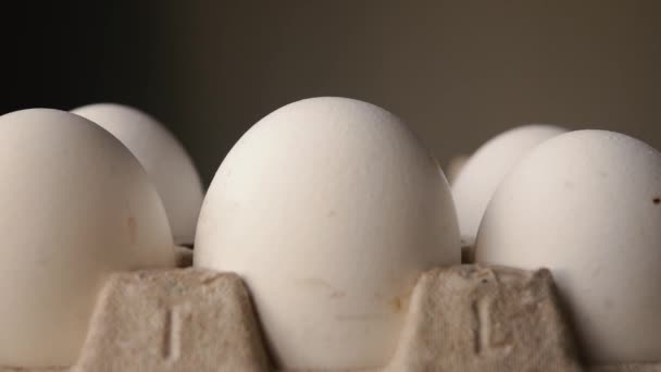Viele weiße Eier in einer Packung — Stockvideo