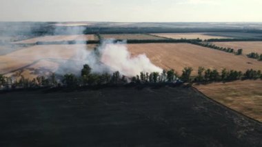 Yanan bir tarla boyunca buğdayla drone hareketi
