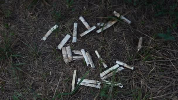 Ett gäng cigarettfimpar ligger på marken. — Stockvideo