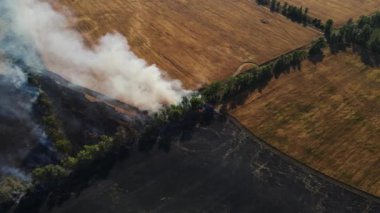 Geniş bir alanda buğdaylı bir tarlayı yakmak. hava atışı