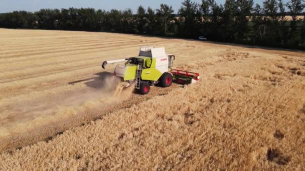 Oogstmachine plukt tarwe over het veld moskoe rusland 5 augustus 2021 — Stockvideo