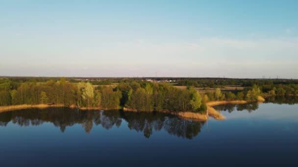 Ruch drona wzdłuż jeziora z lasem. natura o zachodzie słońca w lecie — Wideo stockowe