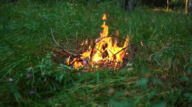Gün boyunca sık bir ormanda şenlik ateşi