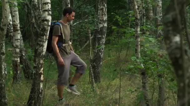 Toeristische wandeling door een dicht bos gedurende de dag — Stockvideo