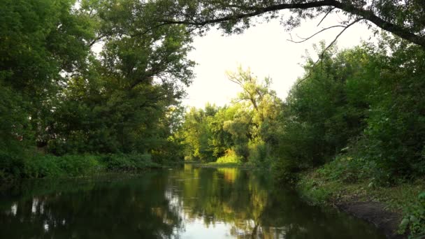 Ein fließender Fluss, auf beiden Seiten von Bäumen umgeben — Stockvideo