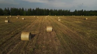 Saman balyalarıyla buğday veya çavdar tarlaları üzerinde uçmak.