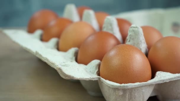 Sok csirke tojás egy csomagban — Stock videók