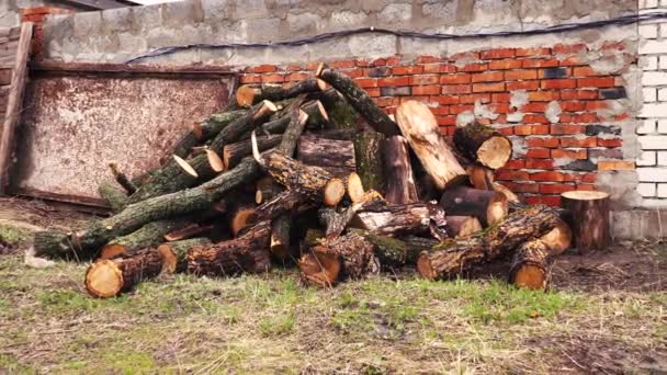 O grămadă mare de lemn de foc în colț . — Videoclip de stoc