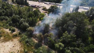 Şehrin yakınındaki bir orman kuşağında çimen yakmak. İnsansız hava aracı