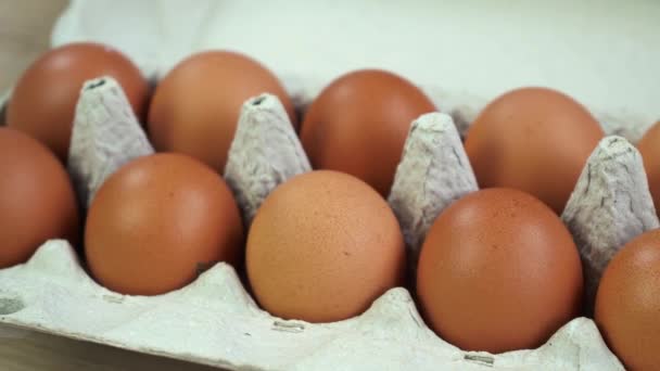 Massor av färska råa hönsägg i pappkartonger. Kyckling bruna färska råa ägg i en äggbehållare. — Stockvideo