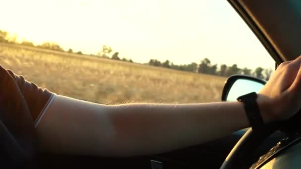 Een man rijdt met een auto door een veld met tarwe. Zicht vanuit de auto — Stockvideo