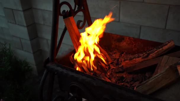 Lagerfeuer im Grill in Nahaufnahme — Stockvideo