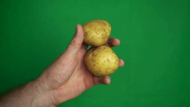 Een man met een aardappel in zijn hand op een groene chromakey achtergrond — Stockvideo