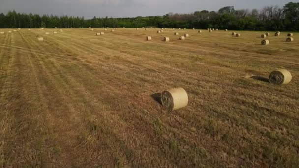 Pohyb dronu kolem kupky sena ležící na poli. letecké snímání — Stock video