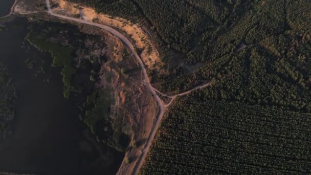 Une vue depuis un drone d'un chemin de terre avec une forêt d'un côté et des marécages de l'autre — Video