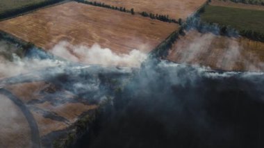 Yanan bir tarlada buğdayla drone atışı