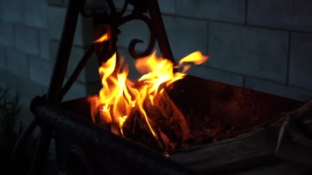 Aufnahmen eines lodernden Feuers im Grill — Stockvideo