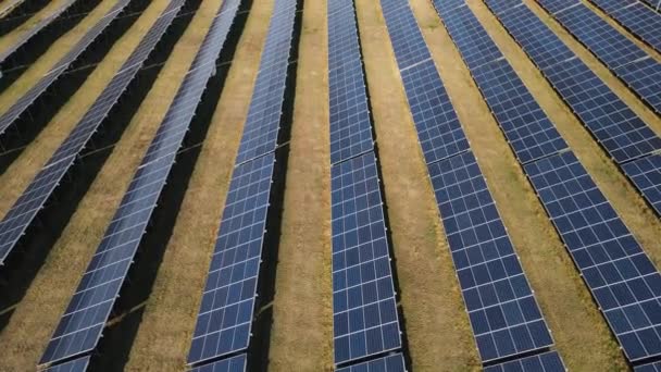 Riprese aeree di pannelli solari in piedi in fila nei campi, energia verde — Video Stock