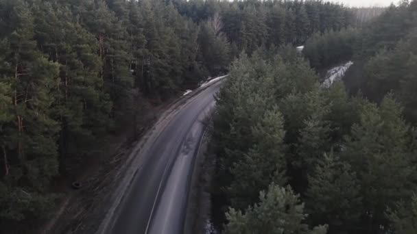 Drohne bewegt sich entlang der Straße, an deren Seiten sich ein Wald befindet — Stockvideo