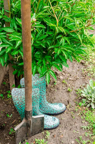 Nástroje Pro Zahradničení Piky Gumové Boty Pro Práci Zahradě — Stock fotografie