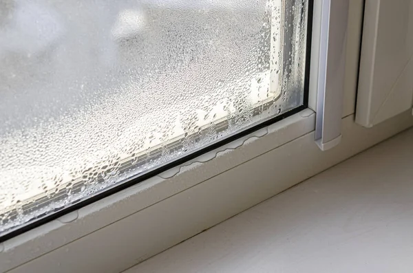 Drops Condensate Black Mold Substandard Metal Plastic Window Plastic Ecology — Stock Photo, Image