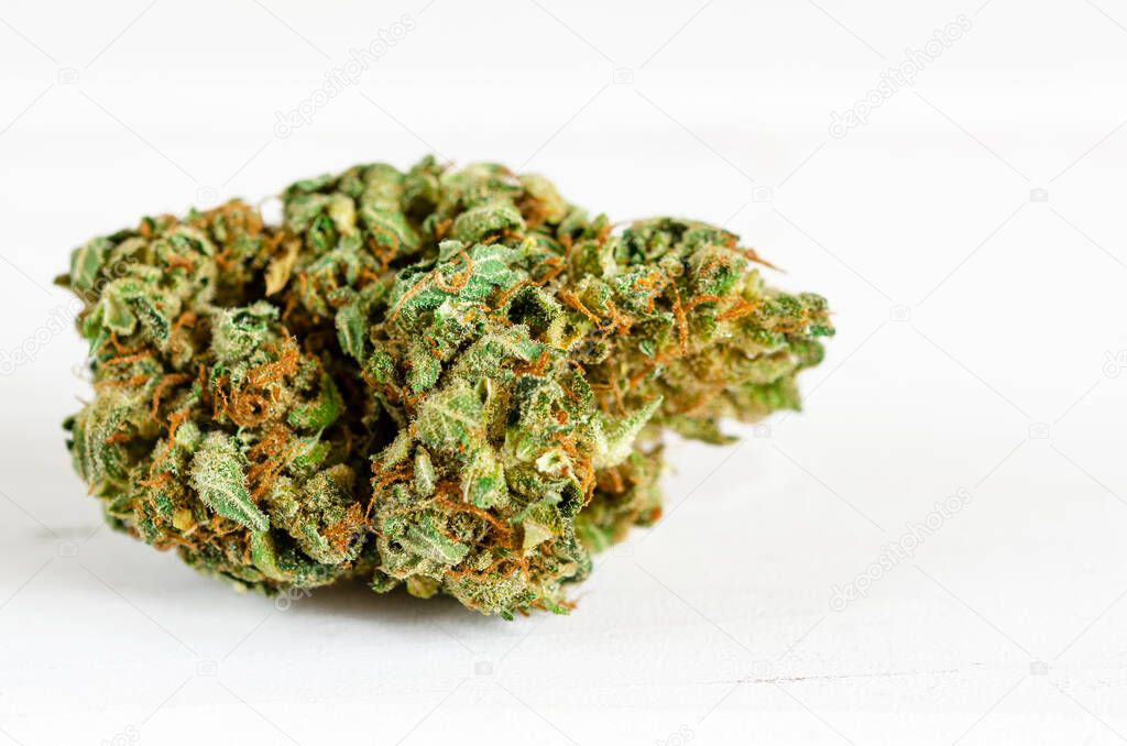 Medical cannabis. Legalization of medical cannabis. Drugs. Cannabis sativa