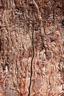 Eski doğal desenli koyu ahşap arkaplan yüzeyi