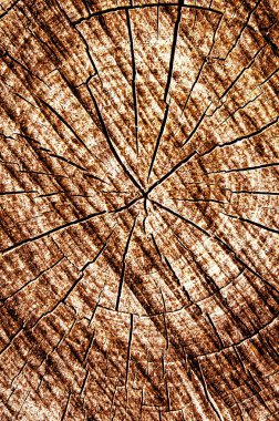 Eskimiş doğal desenli koyu ahşap arka plan yüzeyi. Katı ahşap bir tahtanın dokusu.