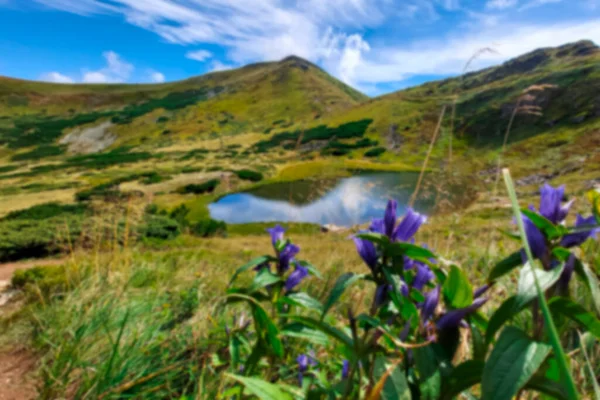 Borrosa Lago Nesamovite Lago Salvaje Hermosa Vista Las Montañas Lago — Foto de Stock