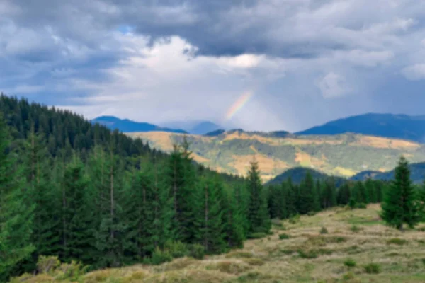 Bulanık Ormanlı Yüksek Irtifa Manzarası Gökyüzünde Renkli Gökkuşağı — Stok fotoğraf