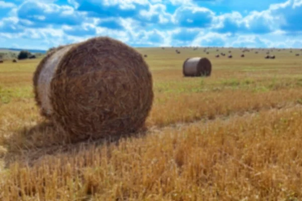 Desfocado Fardo Feno Campo Agrícola Com Céu Natureza Rural Terra — Fotografia de Stock