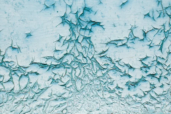 Old cracked aquamarine paint on a wooden surface.
