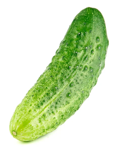 Close Green Cucumber Isolate Pimples White Background Concept Diet Healthy — Stock Photo, Image