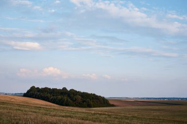 Kırsal tarım gelişimi. Yazın mavi gökyüzüyle doğal yeşil ve sarı arazi manzarası. Tarımın kırsal kesimi. Ekolojik gıda üretimi.