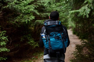 Devasa bir sırt çantasıyla gezen genç bir turist bulutlu bir sonbahar gününde sonsuz yeşil ormanın ortasında kayalık doğal patikada yürüyüş yapıyor. Doğal çevreye kaçış tatili. Dağ eğlencesi, tırmanış.