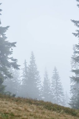 Yeşilliklerle kaplı güzel manzara manzarası. Dağlar bulutlu bir sonbahar gününde sisle kaplıdır. Doğal çevreye kaçış tatili. Dağ Tatil Köyü.
