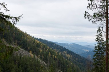 Karpatlar, Ukrayna 'nın güzel manzara manzarası. Dağlar, bulutlu bir sonbahar gününde, daima yeşil ormanlarla ve kayalık yamaçlarla kaplı. Doğal çevreye kaçış tatili. Dağ Tatil Köyü.