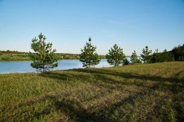 Yeşil ladin bahçesi ve mavi nehrin manzarası. Mavi güneşli gökyüzü ile güzel bir doğa manzarası. Yaz tatili ıssız yerlere. Çevre koruma kavramı.