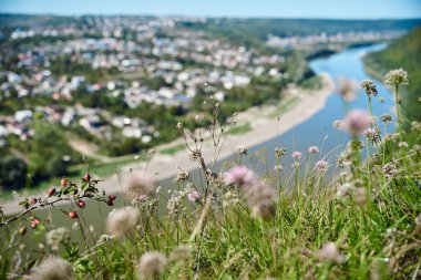 Nehirle çevrili küçük bir kasabanın manzarası. Mavi güneşli gökyüzü, parlak yeşil bitkiler, pembe tarla çiçekleri olan güzel doğa manzarası. Yaz tatili ıssız yerlere.