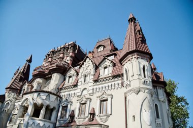 Yeşil ağaçlarla çevrili, kırmızı çatılı, kaprisli şatonun manzarası. Güzel tarihi manzara. Yaz tatili. Mimari gezi turu