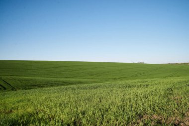 Güzel arazi manzarası. Kırsal köy, yaz mevsiminde güneşli havalarda doğal arka plan. Yeşil çimenler ve bulutlu mavi gökyüzü. Doğa koruma kavramı.