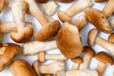 Kahverengi başlıklı Boletus Edulis. Mutfak masasında bir sürü yenilebilir mantar var. Kimse.
