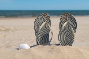 Güneşli bir günde kumsalda gri sandaletler. Deniz kenarındaki kumda terlikler. Okyanus kıyısında takla atıyor..