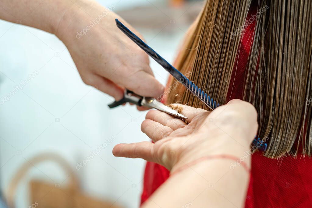 Close up of hairdresser hands cutting brown hair at home. Professional stylist trimming hair split ends.