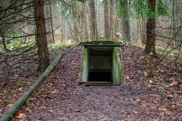 Entrance to underground military bunker in the forest. Former concrete dugout in woodland used during the war