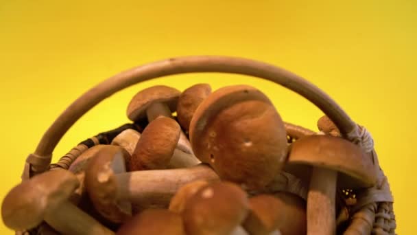 Full Korg Med Boletus Edulis Isolerad Gul Bakgrund Ätlig Svampkorg — Stockvideo