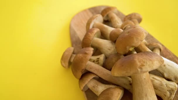 黄底切割板上的褐色帽子Boletus Edulis 厨房的木板上有可食用的蘑菇 — 图库视频影像