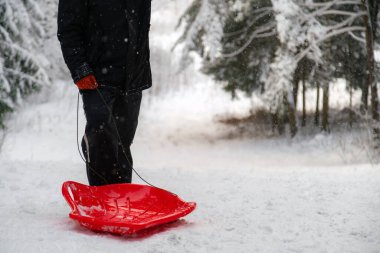 Ormandaki beyaz karlı tepede kızağı olan biri. Mevsimsel kış mutluluğu.