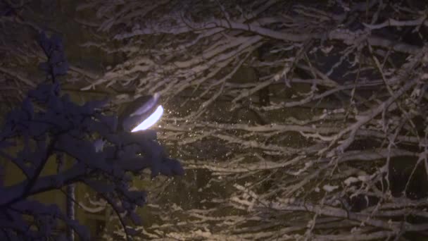 Sneeuw Valt Rond Straatlicht Een Koude Donkere Winternacht Snoeien Stad — Stockvideo