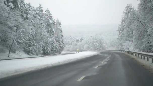 Conducir Coche Carretera Después Tormenta Nieve Hermosos Árboles Nevados Paisaje — Vídeos de Stock
